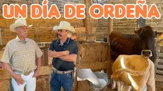 YO SALI DEL RANCHO, PERO EL RANCHO NO SALE DE MI, SIGO TRABAJANDO ENTRE LOS ANIMALES.🤠🇲🇽😉🐂🤠