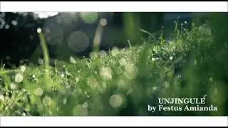 UNJINGULE