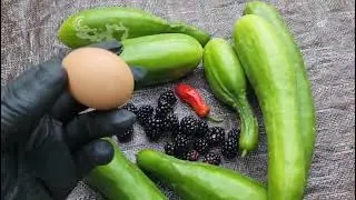 Another Garden Chronicles #agbornjamaican #harvest #short 