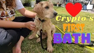 First Bath For 