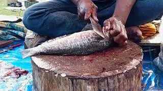 Daily Fish Cutting Video | Raw Fresh Fish Clean Cutting ASMR For Stress Relief