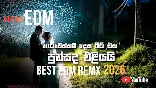 Punsada Eliyai (පුන්සඳ එළියයි) | Latha Walpola | EDM New Remix 2026 | Trending Sinhala Cover Song