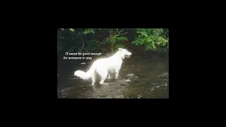 ᯓ★ A Real Sad Playlist ᯽ ݁˖
