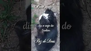 Boa noite