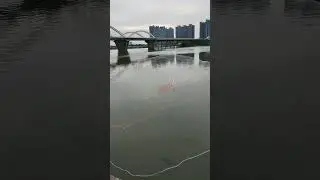 Enjoy relaxing fishing videos with great fishing