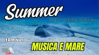 Riviera Maya Summer Vibes 🐢 | Mare caraibico e musica per rilassarti