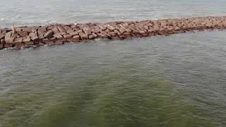 jetty tarpon