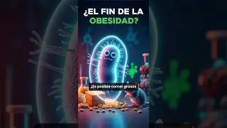 &iquest;Comer GRASA sin engordar? El secreto de esta BACTERIA 🧬🐁
