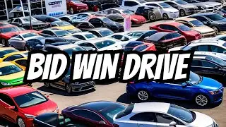 Copart Insurance Auto Auction -Live Stream