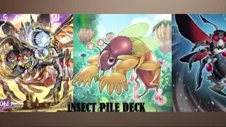 Insect Pile Master Duel (Naturia, Battlewasp ,Beetrooper)