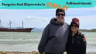 STANLEY, FALKLAND ISLANDS | Penguins At Gypsy Cove & Shipwrecks At Whale Cove - A Lovely Cruise Stop