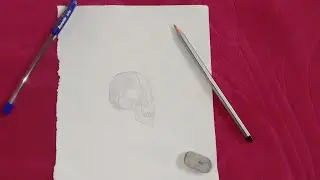 SKETCH SKELETON HEAD IN PENCIL