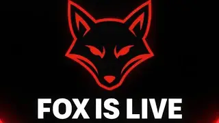 FOX GAMING is live best wow mod