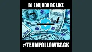 Team Followback (2013)