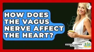 How Does The Vagus Nerve Affect The Heart? - Spiritual Universe Unlocked