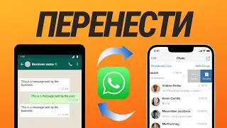 How to Transfer WhatsApp Chats from Android to iPhone