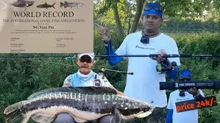 Ironman The Throne X-Treme Travel Concept Rod//TT71HS-5// #fishing