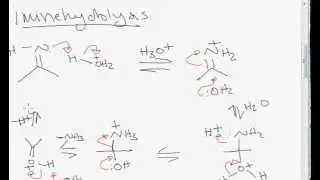 Imine Hydrolysis to Ketone Mechanism