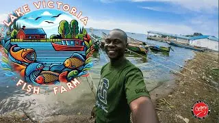 Visiting a Fish Farm in Lake Victoria – Sorii Edition