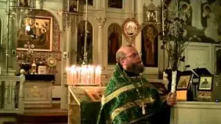 Orthodox Sermon - Palm Sunday