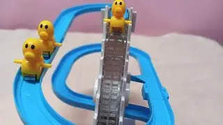 Small Fun Duck Toys|Fun Duck Race For Kids|Funny Activities For Kids|