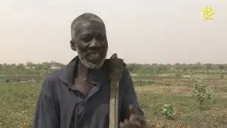 الزراعة في روصو.. مشاكل وعراقيل حسب المزارعين والقطاع يستعرض التدخلات المقام بها لدعم وتطوير الزراعة