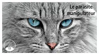 Le parasite manipulateur (épisode #72) - La Tête Dans Le Cerveau