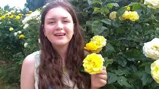 Лаврентьєва Анжеліка композиція  