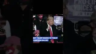 купил трампкоин #crypto #politics #memes #trump