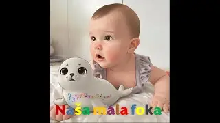 Na&scaron;a mala foka