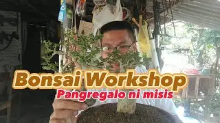 BONSAI WORKSHOP || REPOTTING || ARGAW TAIWAN