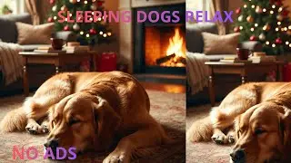 99% of Hyperactive Dogs Fall Asleep to This Sound 🐶 (Don't Watch While Driving!)