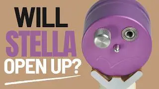 You Won't BELIEVE How This Stella Puzzle Comes Apart! (Did I Break It?)