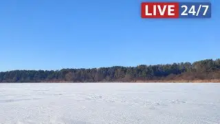 Forest Pond Ambient 🎵 Life&rsquo;s Harmony ✅ Relaxing Instrumental Music Live 24\7
