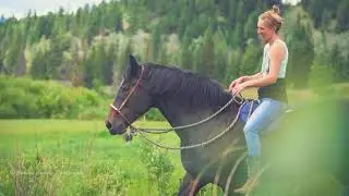 Whole Horse | Myofascial therapy + Feel with Equine Performance Therapist Amy Hay