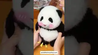 Poseable Big Head Panda Plush 🐼 | Mini Menglan & Huahua #cute #panda