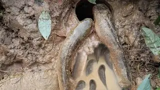 Dig Deep Mud Hole to Finding Fish-Catch Catfish by Unique Fishing-Survival Skills deep hole.