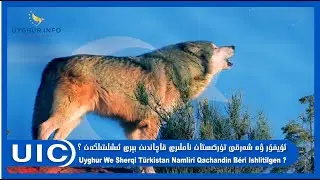 مىللى روھ[UIC 60]  ئۇيغۇر ۋە شەرقى تۈركىستان ناملىرى ​قاچاندىن بېرى ئىشلىتىلگەن   ​Приглашен