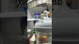 What a one year old eats in a day