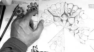 Intro radial pattern balanced design