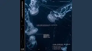 Junglewave Interlude
