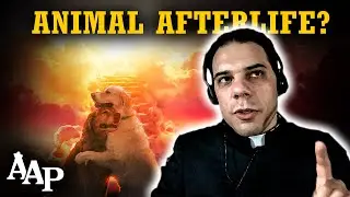 Do Animals have a Soul?  | Do Pets Make it to Heaven? (Fr. Anthony Amato)