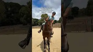 POV: your non horsey boyfriend tries to be supportive but has no idea what he&rsquo;s looking at #horse