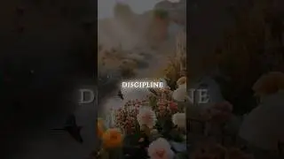Prayer for discipline 🙏✝️✨💛