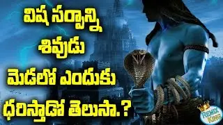 Why does Lord Shiva wear a Snake around his neck? | శివుడు పామును మెడలో ఎందుకు వేసుకుంటాడు?