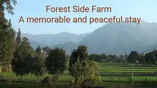 Forest Side Farm   A memorable and peaceful stay