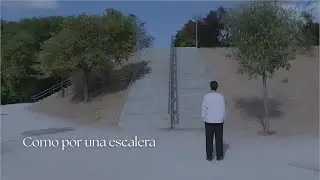 Como por una escalera - Daniel Arranz