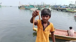 Unexpectedly Small Boy Catching Aquarium Color Fishes | Amazing Fishing Skills | Best Fishing Video