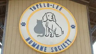 Volunteers keep Tupelo shelter running during winter storm
