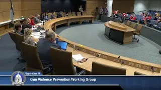 Gun Violence Prevention Working Group - 09/17/25